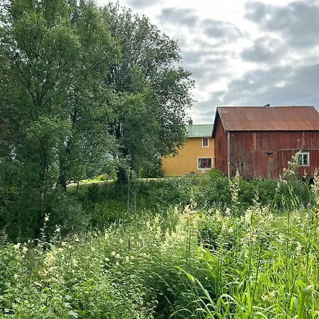 1860 Smallholding With Fjord View Near Feriehus *