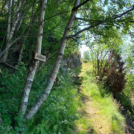 1860 Smallholding With Fjord View Near * Sjovegan