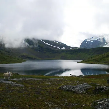 1860 Smallholding With Fjord View Near